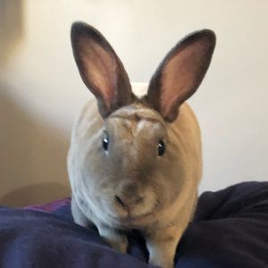 Meet your Posher, Nicole